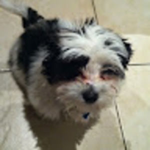 Meet your Posher, Fiona